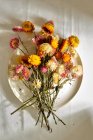 Сверху букет свежих соломенных цветов, помещенных на тарелку на белом фоне, освещенном солнечным светом — стоковое фото