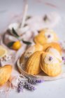 Vue aérienne de délicieuses madeleines sur assiette entre des tranches de citron frais et des brins de lavande en fleurs sur du textile froissé — Photo de stock