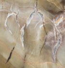Текстура макро фотографії візерунків і кольорів у шматку подрібненої деревини (Woodworthia) з формації Chinle в Арізоні; бл. 225 мільйонів років — стокове фото