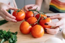 Cultivar hembras irreconocibles de pie a la mesa con una variedad de verduras frescas para una ensalada saludable mientras se cocina el almuerzo en la cocina - foto de stock