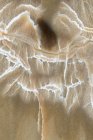 Texture della Macro fotografia di motivi e colori in un pezzo di legno pietrificato (specie Woodworthia) dalla Formazione Chinle in Arizona; ca. 225 milioni di anni — Foto stock