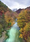 Increíble vista del dron del río que fluye a través de bosques de otoño con árboles coloridos en las tierras altas en el día nublado - foto de stock