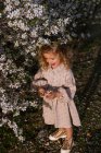 Adorable petit enfant souriant en robe debout près d'un arbre fleuri avec des fleurs au parc du printemps et regardant vers le bas — Photo de stock