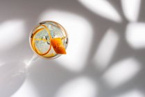 Вид зверху на прозорий келих коктейлю з високим м'ячем, прикрашений цитрусовою плодовою цедрою і гвоздикою проти тіней на сонячному світлі — стокове фото