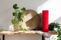 Plántulas verdes de planta de interior colocadas en botella de vidrio con agua en estante de madera con libro cerca de la pared blanca en la cocina - foto de stock