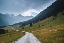 Живописный пейзаж пустой трассы, окруженный сухой и зеленой травой в горной местности долины Аран в Испании под серым облачным небом — стоковое фото