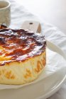 Délicieux gâteau au fromage cuit servi dans une assiette — Photo de stock