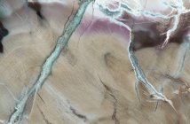 Текстура макро фотографії візерунків і кольорів у шматку подрібненої деревини (Woodworthia) з формації Chinle в Арізоні; бл. 225 мільйонів років — стокове фото