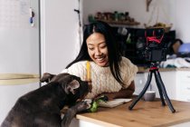 Jeune femme ethnique joyeuse vlogger avec ordinateur portable assis à la table jouant avec American Staffordshire Terrier enregistrement filaire avec appareil photo sur trépied dans la cuisine — Photo de stock