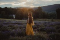 Vista laterale di donna gentile con fiori in mano in piedi nel campo di lavanda in fiore e godersi la natura guardando lontano — Foto stock