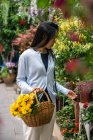 Bella ragazza asiatica acquistare fiori nel negozio di fiori mentre trasporta un cesto di vimini con fiori gialli. — Foto stock
