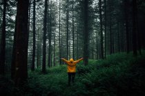 Unbekannter Tourist in Oberbekleidung mit Kapuze steht auf Weg zwischen Pflanzen und hohen Bäumen im Wald — Stockfoto