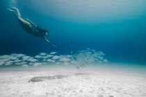 Visão lateral corpo inteiro de viajante feminino usando máscara de mergulho nadando debaixo d 'água perto da escola de peixes e fundo arenoso — Fotografia de Stock