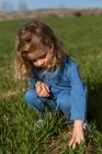 Симпатичный ребенок, сидящий на зеленом поле в солнечный день и играющий с травой летом — стоковое фото