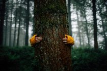 Посадка неузнаваемых туристов, обнимающих дерево с сухой грубой корой во время путешествия в лесу на размытом фоне — стоковое фото