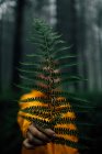 Voyageuse adulte avec feuille de plante verte luxuriante regardant la caméra pendant le voyage dans les bois — Photo de stock