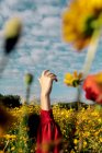 Неузнаваемая женщина с поднятой рукой среди цветущих желтых цветов на лугу в сельской местности под облачным небом — стоковое фото