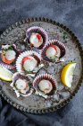 Top view fresh appetizing scallops on shells served on ice on plate with lemon slices — Stock Photo
