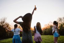 Visão traseira da companhia de namoradas anônimas com cerveja desfrutando de fim de semana de verão ao pôr do sol no parque — Fotografia de Stock