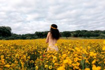Zurück Ansicht der anonymen nackten Brünette im Blumenkranz genießen Wiese mit blühenden Gänseblümchen unter bewölktem Himmel im Sommer — Stockfoto