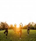 Compañía de hembras en forma equilibrándose en pose de árbol y practicando yoga juntas sobre césped en parque al atardecer - foto de stock
