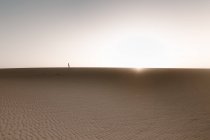 Anônimo turista feminina caminhando enquanto contempla o céu claro com raios de sol ao entardecer — Fotografia de Stock