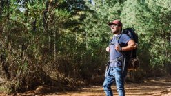 Bärtiger männlicher Backpacker mit Schirmmütze, der an sonnigen Tagen zwischen Bäumen und Pflanzen im Wald spaziert — Stockfoto