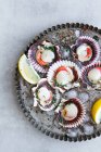 Vista dall'alto fresche e appetitose capesante su conchiglie servite su ghiaccio su piatto con fette di limone — Foto stock