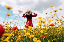 Back view anonymous trendy female in red sundress standing on blossoming field with yellow and red flowers and touching hat on warm summer day — Stock Photo