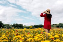 Indietro anonimo femminile alla moda in abito da sole rosso in piedi sul campo fiorito con fiori gialli e rossi e cappello toccante nella calda giornata estiva — Foto stock