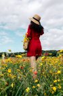 Retrovisore anonimo femminile alla moda in sundress rosso e borsetta in piedi su campo fiorito con fiori gialli e rossi e cappello toccante nella calda giornata estiva — Foto stock
