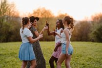Группа счастливых разнообразных женщин собирается в парке и трещит бутылками пива, наслаждаясь летними выходными вместе — стоковое фото