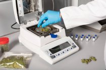 Crop anonymous biologist in glove putting dried marihuana flower buds on pan of moisture measuring device in laboratory — Stock Photo