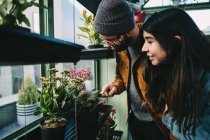 Content stylish couple embracing in greenhouse while standing near shelf and picking blooming potted flower — Stock Photo