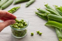 From above of cropped unrecognizable person hands peeling green pea pods on table at home — Stock Photo