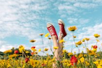 Colheita fêmea irreconhecível em calçado brilhante deitado com pernas cruzadas entre margaridas florescentes sob céu azul nublado no campo — Fotografia de Stock