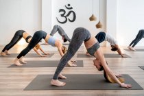 Side view of group of people in activewear standing in Downward Facing Dog pose while practicing yoga during lesson in spacious studio — Stock Photo