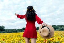 Indietro anonimo femminile alla moda in abito da sole rosso in piedi sul campo fiorito con fiori gialli e rossi con braccia tese nella calda giornata estiva — Foto stock