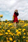 Visão traseira fêmea na moda anônimo em sundress vermelho e bolsa de pé no campo florescente com flores amarelas e vermelhas e chapéu tocante no dia quente de verão — Fotografia de Stock