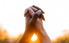 Анонимные многоэтнические самки, держащиеся за руки на фоне яркого солнца в закатном небе, демонстрируя концепцию единства и толерантности — стоковое фото