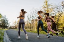 Rückansicht Vielrassige Läuferinnen in Aktivkleidung joggen beim Ausdauertraining auf dem Gehweg in der Stadt — Stockfoto