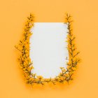 Rami e steli gialli in fiore che fanno cornice su sfondo arancione — Foto stock