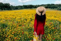 Dall'alto vista posteriore anonima donna di tendenza in abito da sole rosso, cappello e borsetta in piedi sul campo fiorito con fiori gialli e rossi nella calda giornata estiva — Foto stock