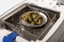 Getrocknete Marihuana-Blütenknospen auf dem Tisch mit analytischem Gleichgewicht und Feuchtigkeitsmessgerät im Labor — Stockfoto