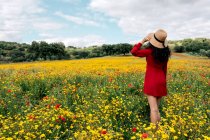 Anonymes trendiges Weibchen in roter Uniform steht auf blühendem Feld mit gelben und roten Blumen und anrührendem Hut an warmen Sommertagen — Stockfoto