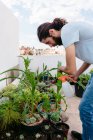 Side view of calm bearded male gardener in casual clothes spraying potted lush plants while hunkering down in courtyard — Stock Photo