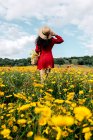 Вид ззаду анонімний модний жінка в червоному сараї і сумка, що стоїть на квітковому полі з жовтими і червоними квітами і зворушливим капелюхом в теплий літній день — стокове фото