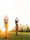 Company of fit females balancing in Tree pose and practicing yoga together on lawn in park at sunset — Stock Photo