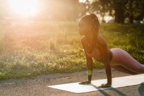 Vue latérale de l'ajustement athlète féminine afro-américaine équilibrage en position de planche tout en faisant des abdos séance d'entraînement dans le parc au coucher du soleil — Photo de stock