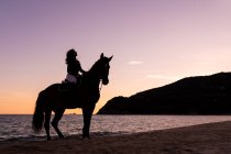 Seitenansicht der jungen weiblichen Silhouette auf Stute mit Blick auf das Meer vom sandigen Ufer bei Sonnenuntergang — Stockfoto